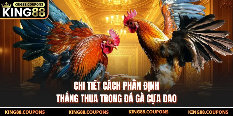 Chi tiết cách phân định thắng thua trong đá gà cựa dao