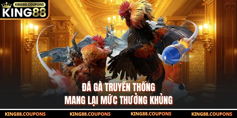 Đá gà truyền thống mang lại mức thưởng khủng
